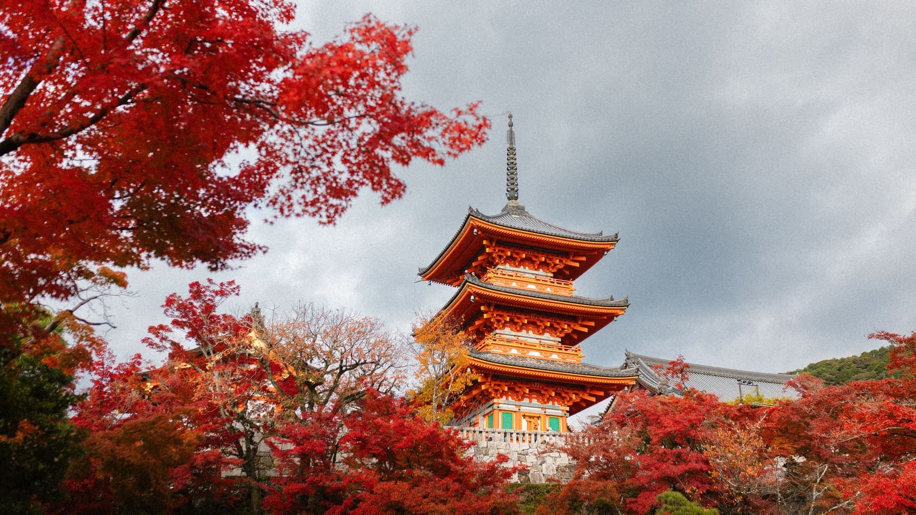 The three-storey pagoda of Kiyomizu-dera framed by red autumn maples in Kyoto