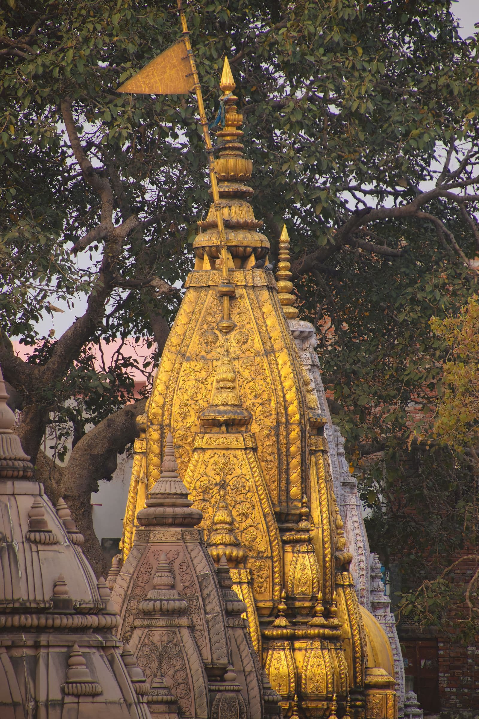 The golden spire of Kashi Vishwanath