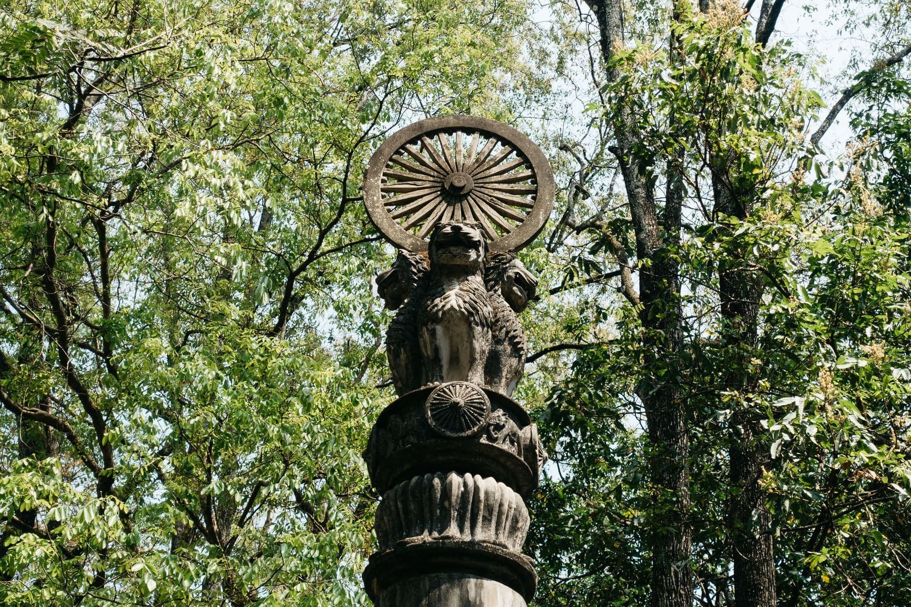 A replica of Ashoka's Lion Capital crowned with the wheel of the Dharma, among trees at Sarnath