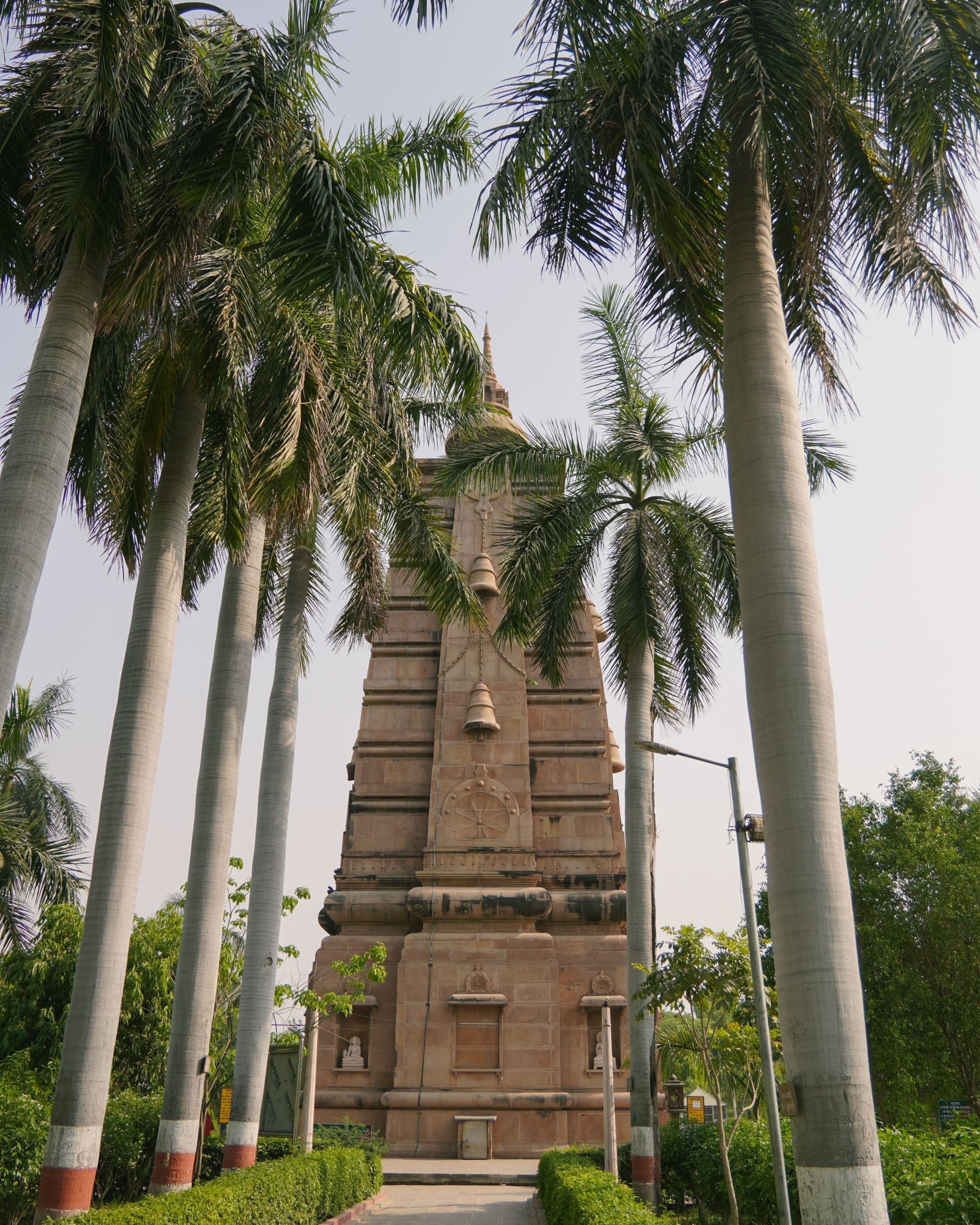 The Dhamek Stupa at Sarnath among palm trees